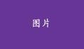 沒(méi)有標(biāo)題的話，就不會(huì)顯示